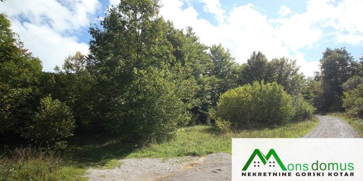 Korak od Delnica i planinskog centra Petehovac